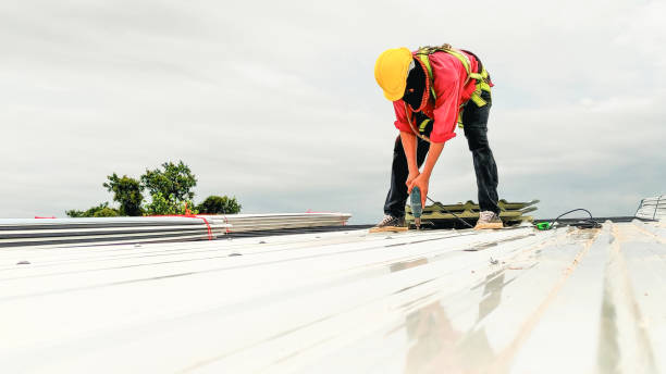 Best Skylight Installation and Repair  in Morton, TX