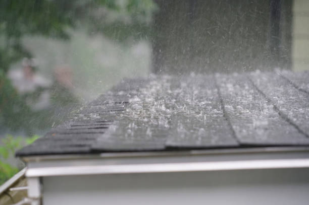 Best Asphalt Shingles Roofing  in Morton, TX