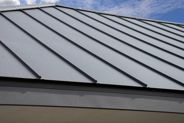 Best Solar Panel Roofing Installation  in Morton, TX